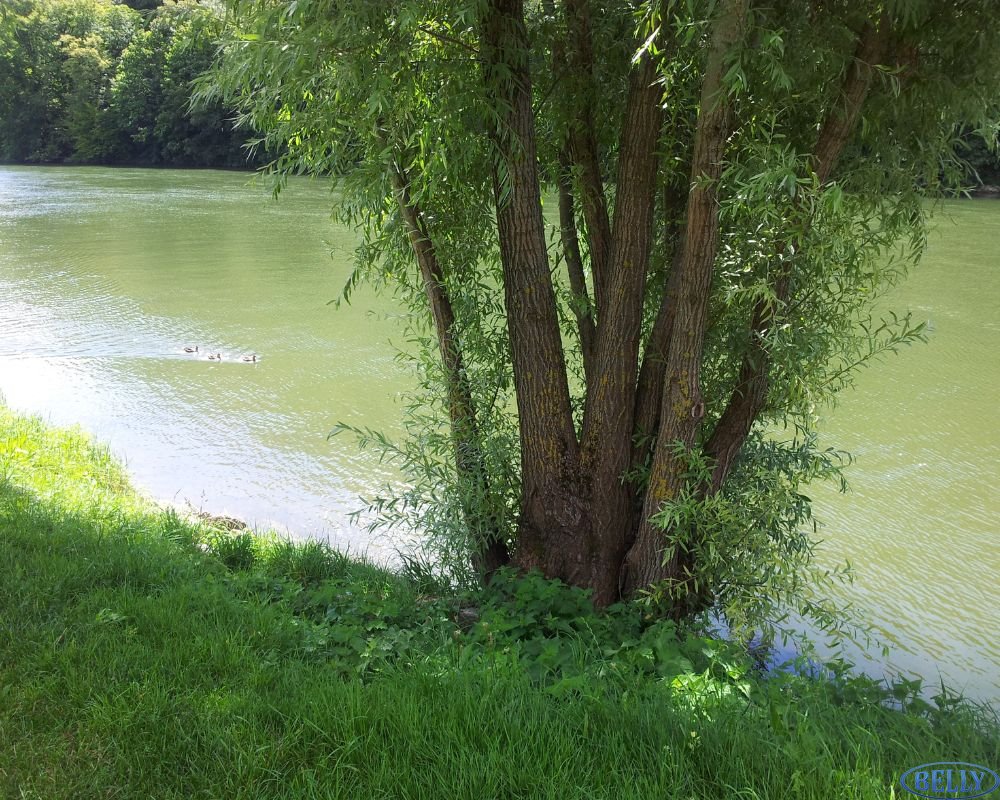 Notre équipe de charpentier au Véisnet travaille dur pour être fidèle à la beauté du territoire : ici le lac supérieur du Vésinet